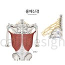 더에스핏 이미지