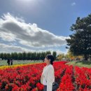 [모녀여행] 가을의 삿포로 2,3일차 🍁🍂 - 비에이 흰그림자투어후기