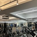 피트니스 고집 이미지