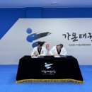 팀애즈 네이버블로그