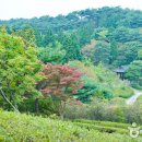 평택-W-019 대한민국 구석구석