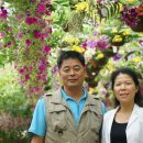 두정극동@ 이미지