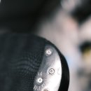 솔 피시 이미지