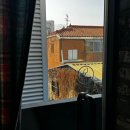 팜므파탈태닝