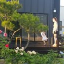 신의손짜장 이미지