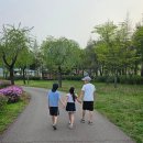인문학마을펜션 | 양구 인문학 캠핑장 (feat. 한반도섬, 파로호, 양구 5일 장터) / 국내 가족여행으로 강력 추천