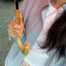 최회강한의원 이미지