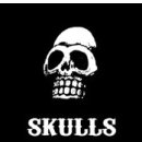 스컬스PC 이미지