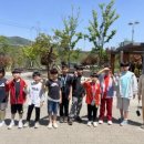 용인대 다한 태권도장 이미지