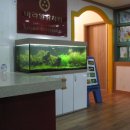 바라밀유치원 이미지