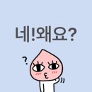 스토리위드이안 | 내 일상 무료공개💕