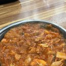 빨간창꼬 이미지