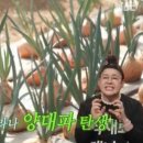 물조리자리 | 전지적 참견 시점 양대파 개발자 김도혜 택배 주문 방법 - 충남 예산 캠핑장 촌캉스 가마솥 삼겹살 소곱창