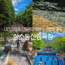 지에스25 남대전IC점 | 대전 상소동 산림욕장 물놀이 수영장 계곡 여름 명소 추천
