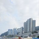 송도해수욕장 이미지