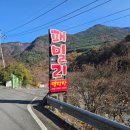 패밀리 | 밀양 애견동반 캠핑 패밀리오토캠핑장 후기 및 추천 사이트