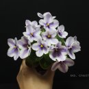 포트리 (poetry)