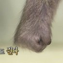 호텔류 네이버블로그