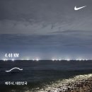 여미지식물원 | 2025 제주 포켓몬런 8km 참가 후기 / 여미지식물원