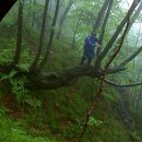 정 커뮤니티 - 안산시 단원구 | 정 커뮤니티