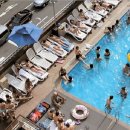 유펠리스 이미지