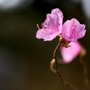 광명시민체육관 이미지