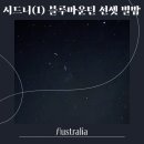 별밭 작은도서관 | 블루마운틴 선셋 별밤 투어 후기 (일정, 투어 맛집 추천, 꿀팁, 별똥별), 시드니 여행