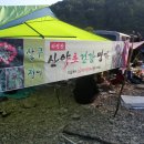 살구정이 이미지