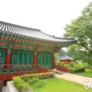심원사 Daum카페