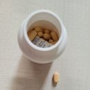 성부당약국 | 종근당 벤포벨 S 정 가격 및 구입처, 효능과 후기