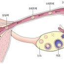 서울위례산부인과의원 이미지