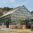 (주)에쎄르 | 제천 카페|아브리에쎄르 '제천온실카페'