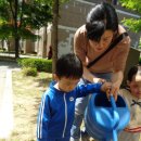 통큰딱따구리 이미지