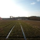 다산1리 이미지