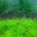 신용 아쿠아 수족관 이미지