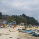 메롱골 Daum카페