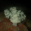 남해-313 이미지