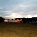 도그아일랜드 이미지