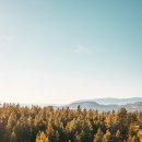 여행사진필터 : The Traveler 라이트룸 프리셋 적용 전/후 사진 후기