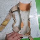 보조기나라 이미지