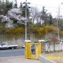 상화유치원 이미지