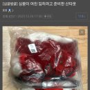 여친 입히려고 준비한 산타복 이미지