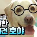 순박2농장 이미지