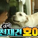 호야 PC방 이미지