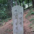 봉황정