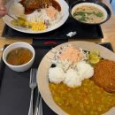 한양대(학술정보관) | 신경 오라고 해서 미안해