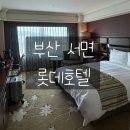 서면 중심가 동물약국 | 부산 서면 롯데호텔 시티뷰 프리미어 더블룸 호캉스 후기(라운지, 헬스장, 이재모피자)