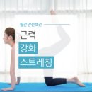 근력스트레칭 이미지