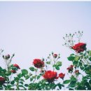 성곡초등학교6 이미지