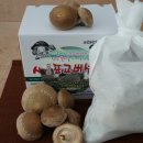 산여울농장 Daum카페